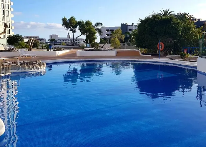 Playa Paraiso أذيخي